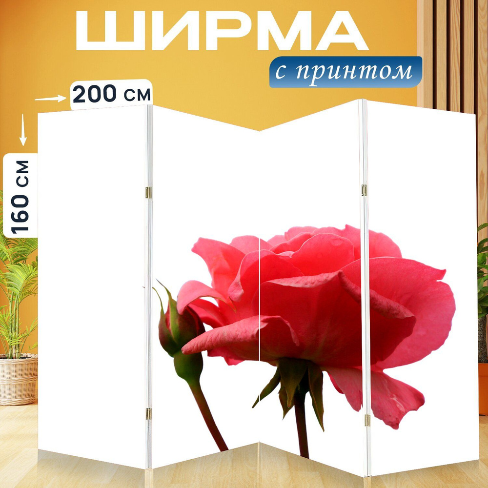 Ширма "Цветок, розовый, природа" перегородка для зонирования комнаты с принтом 200x160 см. на холсте #1