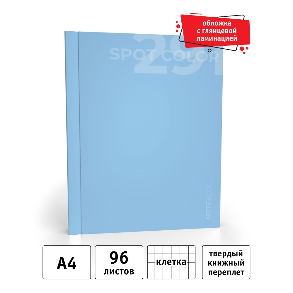 Academy Style Записная книжка A4 (21 × 29.7 см), листов: 96 #1