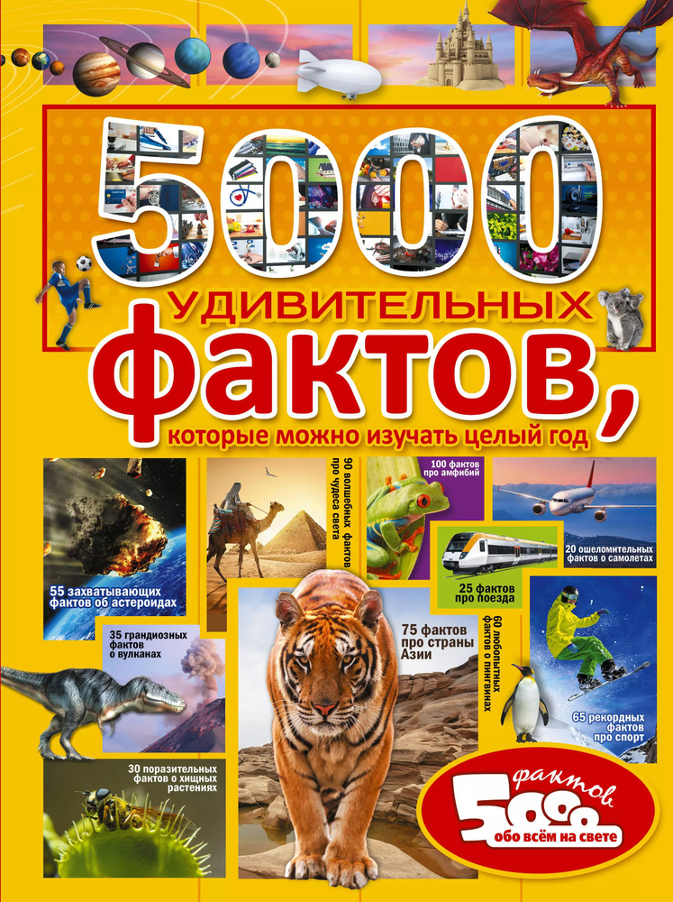 5000 удивительных фактов, которые можно изучать целый год  #1