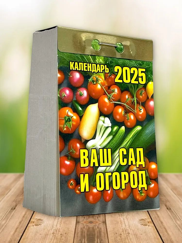 Атберг 98 Календарь 2025 г., Отрывной, 10 x 13 см #1