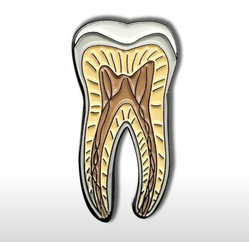 Брошь стоматологу зуб. Подарок медику. #1