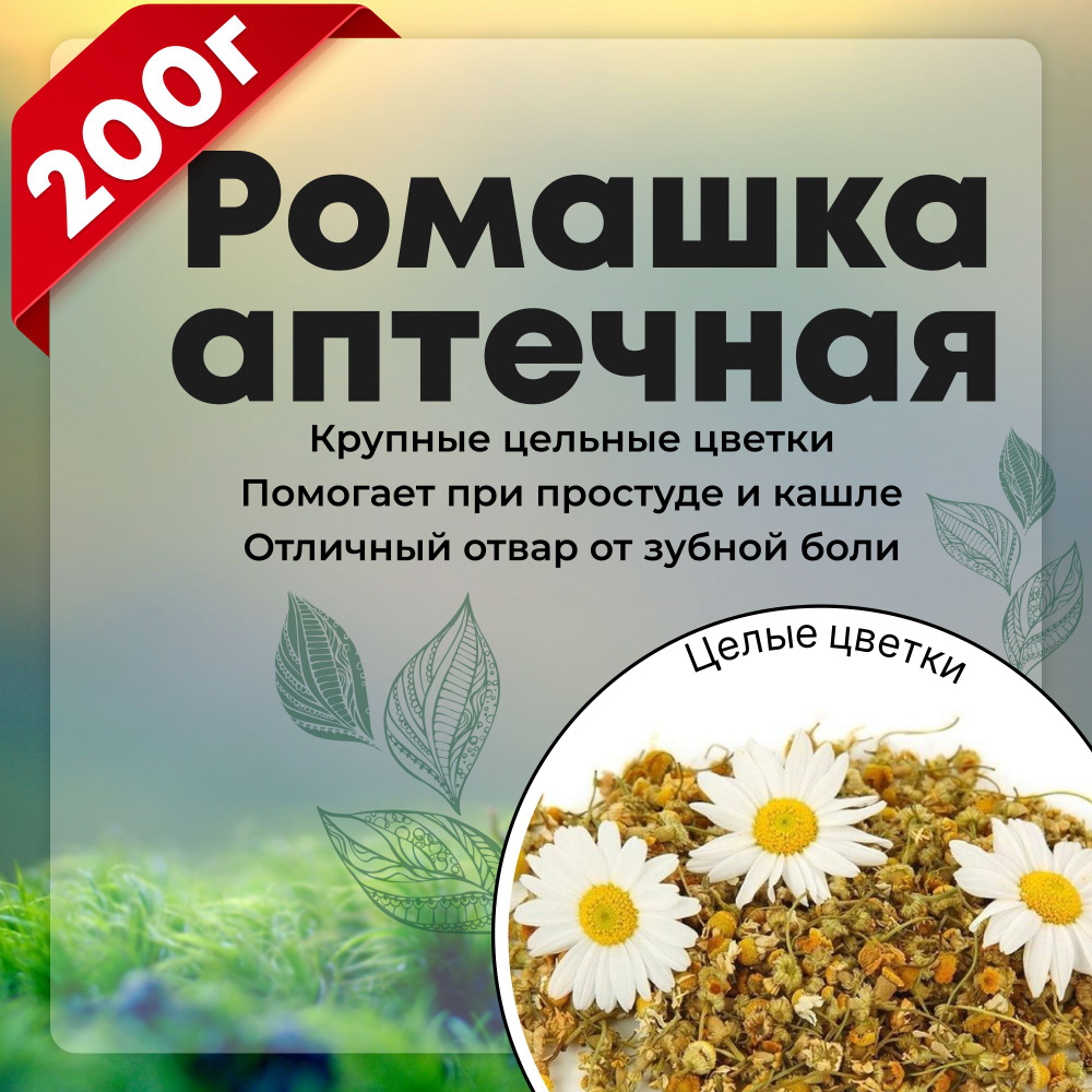 Ромашка аптечная цельные цветки, Трава для лёгких и бронхов (от гастрита, боли и бессоницы), 200 гр. #1