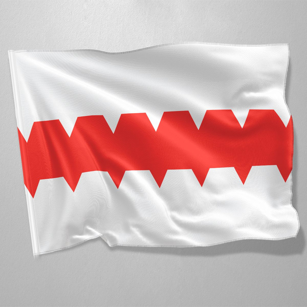 Флаг Омска / Флаг города Омск / 90x135 см. #1