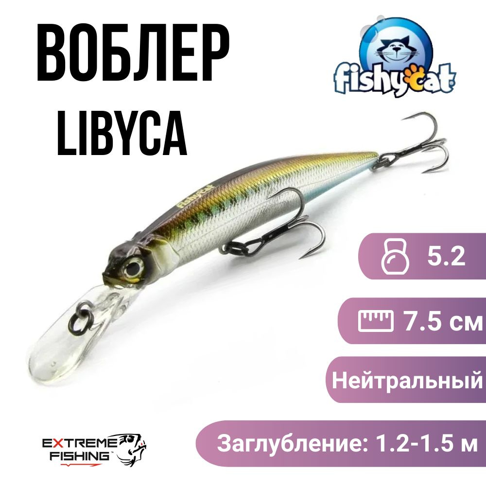 Воблер Fishycat Libyca 75DSP, R09 #1