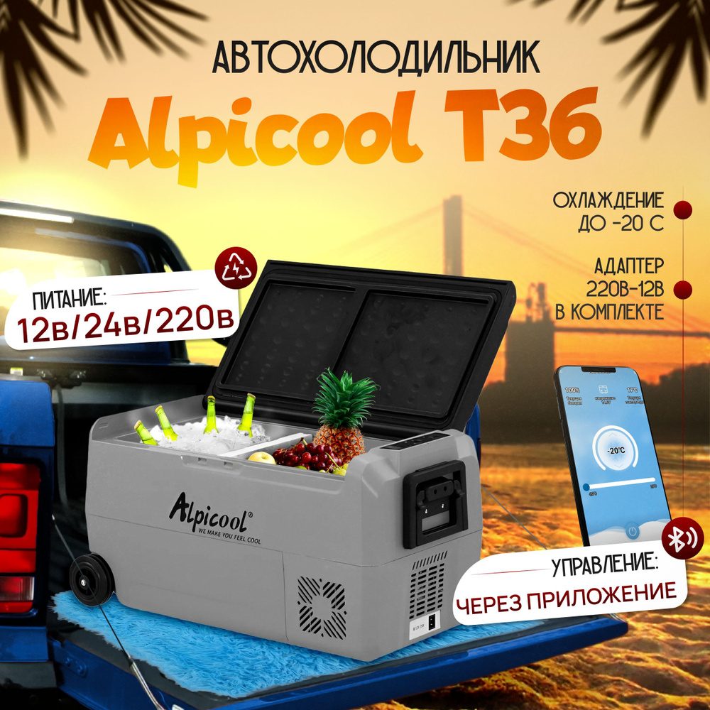 Автомобильный холодильник Alpicool T36 (12В/24В/220В) 36 литров #1