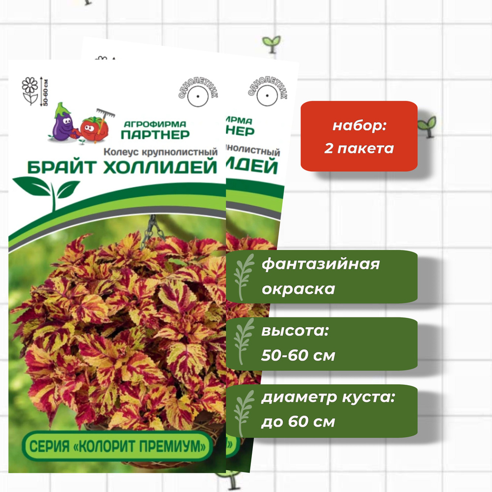 Колеус шлемниковидный крупнолистный Премиум Брайт Холлидей Агрофирма Партнёр 5 шт. - 2 упаковки  #1