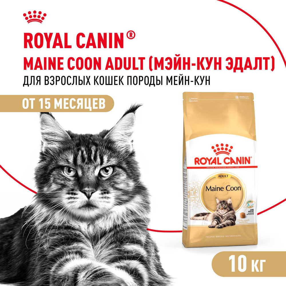 Royal Canin Maine Coon Adult Корм сухой сбалансированный для взрослых кошек породы Мэйн Кун, 10 кг  #1