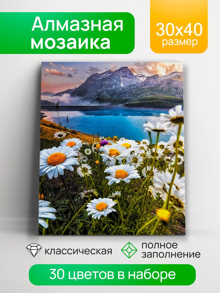 Алмазная мозаика квадратная 30х40 с глянцевыми стразами Ромашки в горах (артАЛМ-0083)  #1