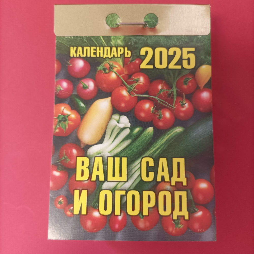 Атберг 98 Календарь 2025 г., Отрывной #1