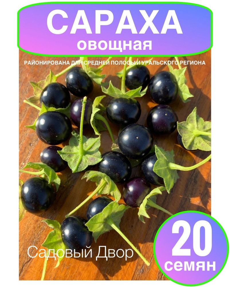 Сараха овощная, семена 20 шт #1