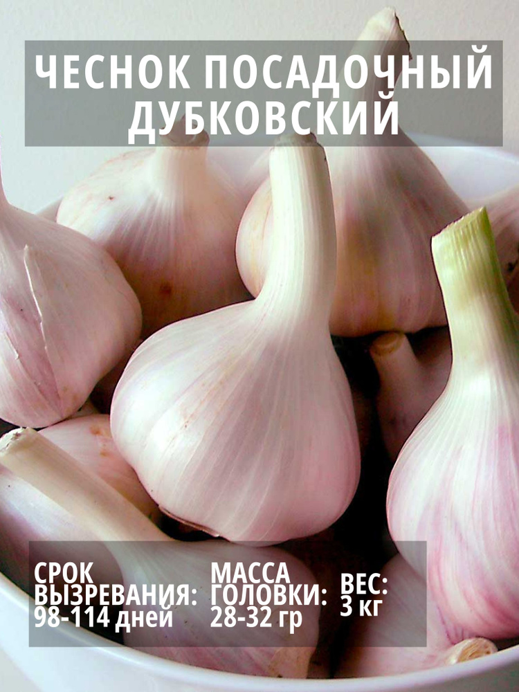 Чеснок посадочный Дубковский озимый 3 кг #1