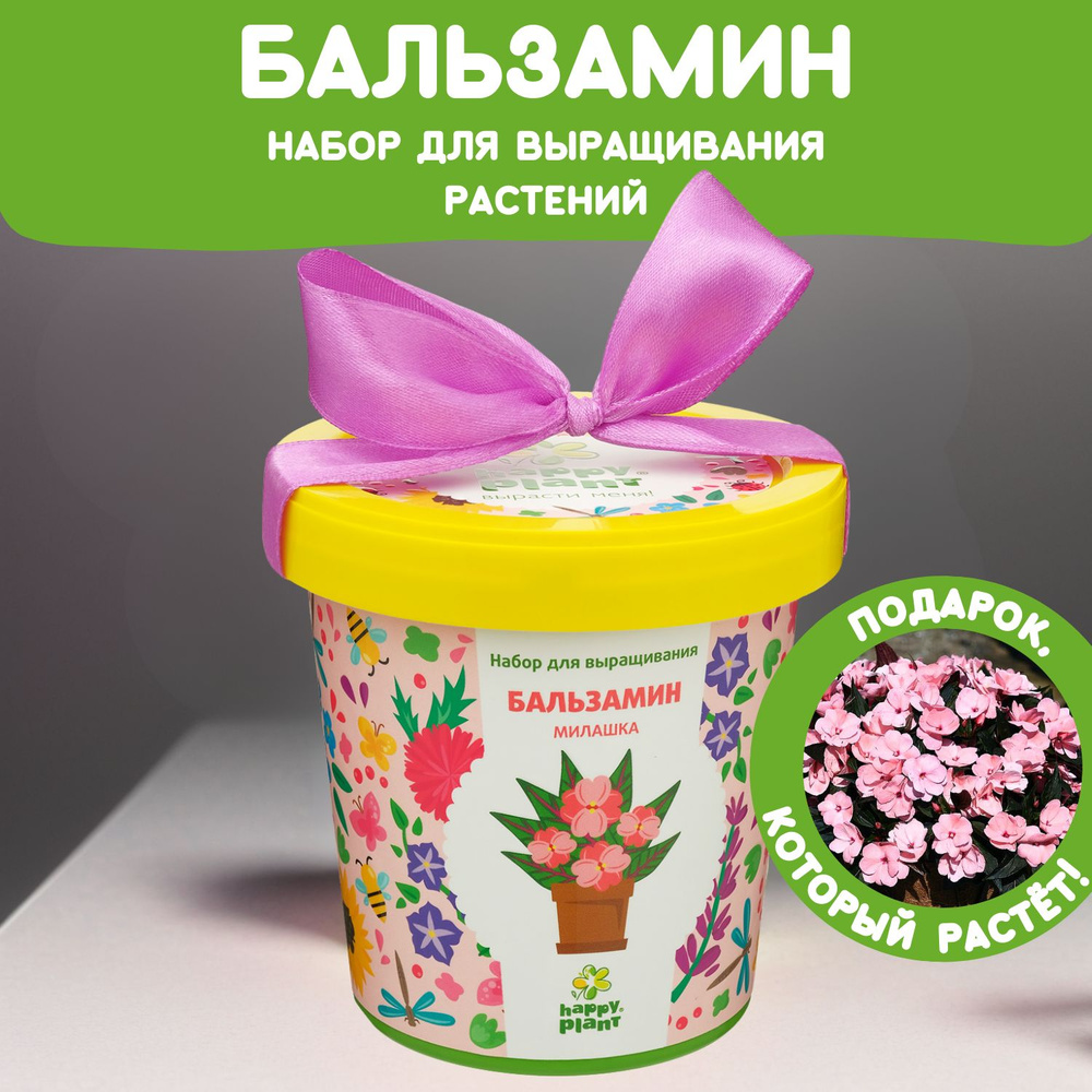 Набор для выращивания растений Happy Plant Бальзамин, семена комнатных цветов в подарочном горшке  #1