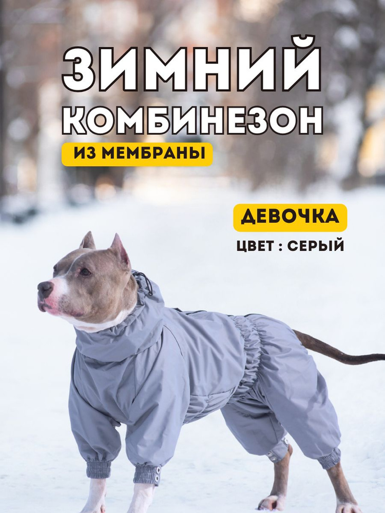 Комбинезон зимний для собак средних пород SNOW plus, 50+ж (сука), серый, 3XL+  #1