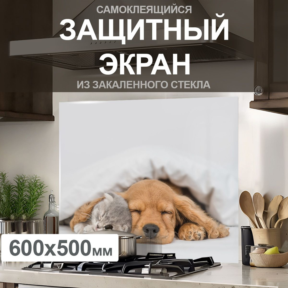 Защитный экран от брызг на плиту 600х500х4мм. Стеновая панель для кухни из закаленного стекла. Фартук #1