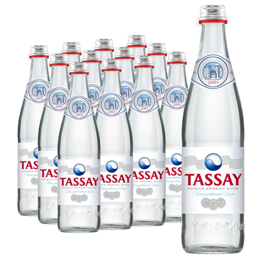 Природная вода Tassay (Тассай) негазированная 0,5 л, стекло, 12 шт Уцененный товар  #1