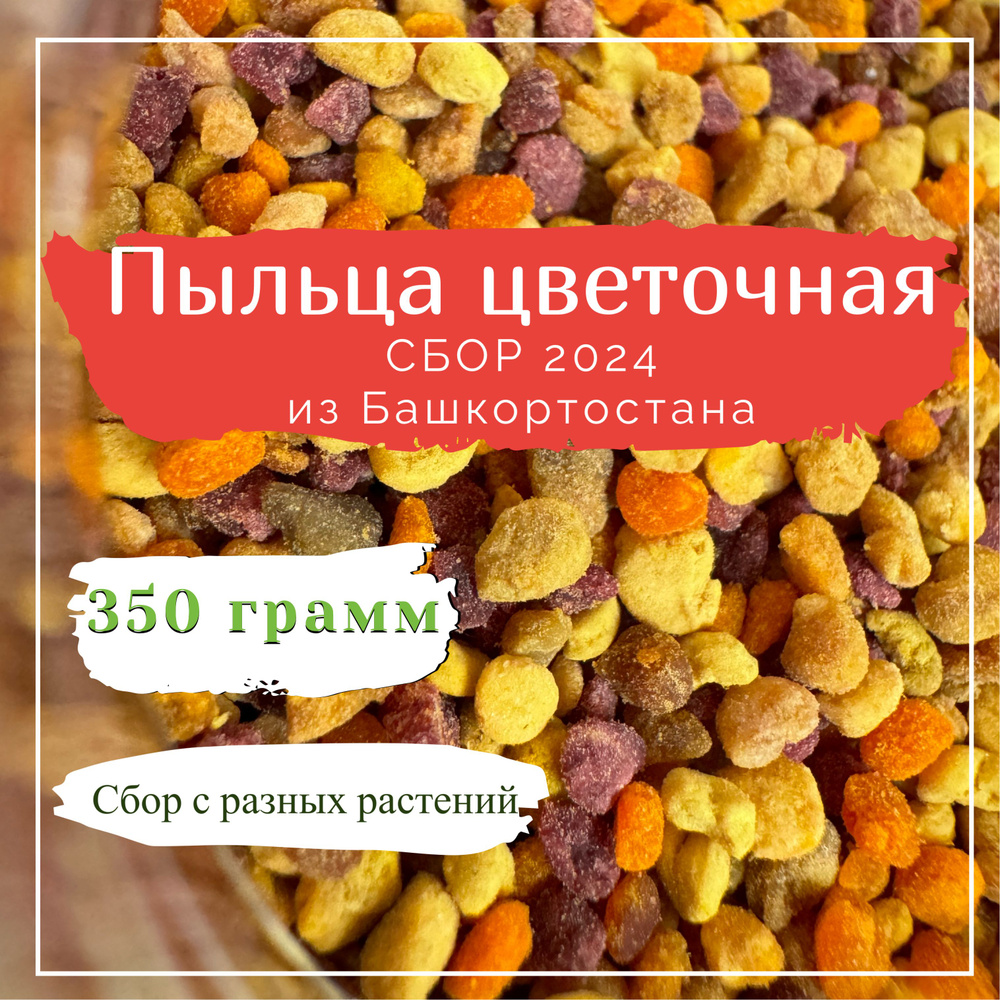 Пыльца цветочная/ пчелиная обножка 350 гр ( натуральная пыльца из Башкортостана) Сотый улей  #1