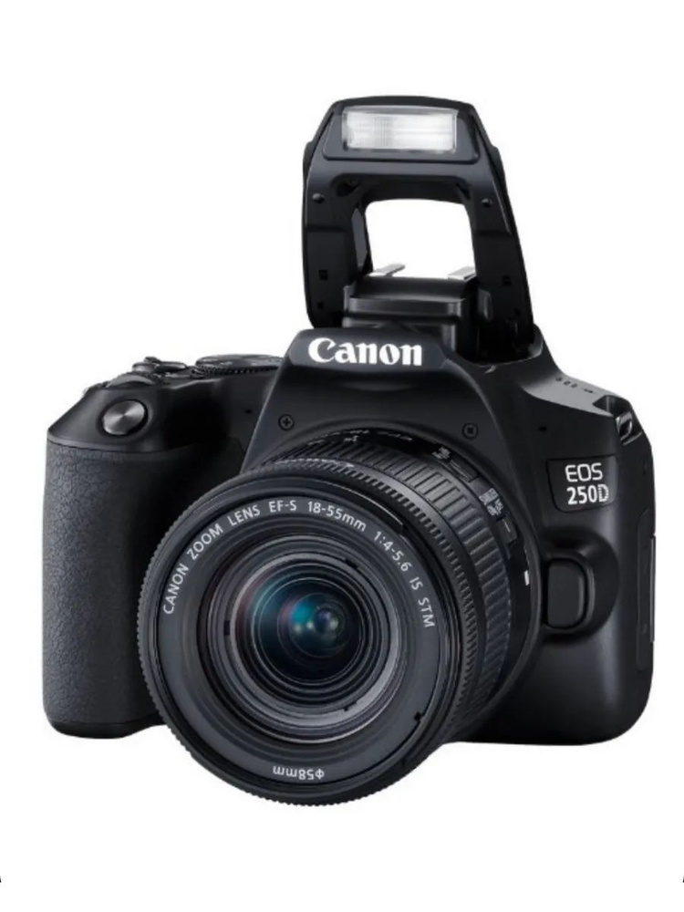 Зеркальный фотоаппарат Canon EOS 250D Kit 18-55 IS STM черный #1