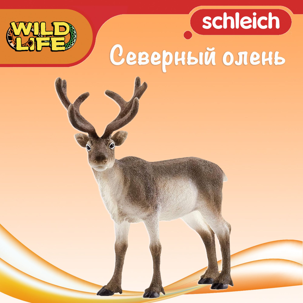 Фигурка "Северный олень" Schleich Wild Life/ для детей от 3 лет/ Шляйх 14837  #1