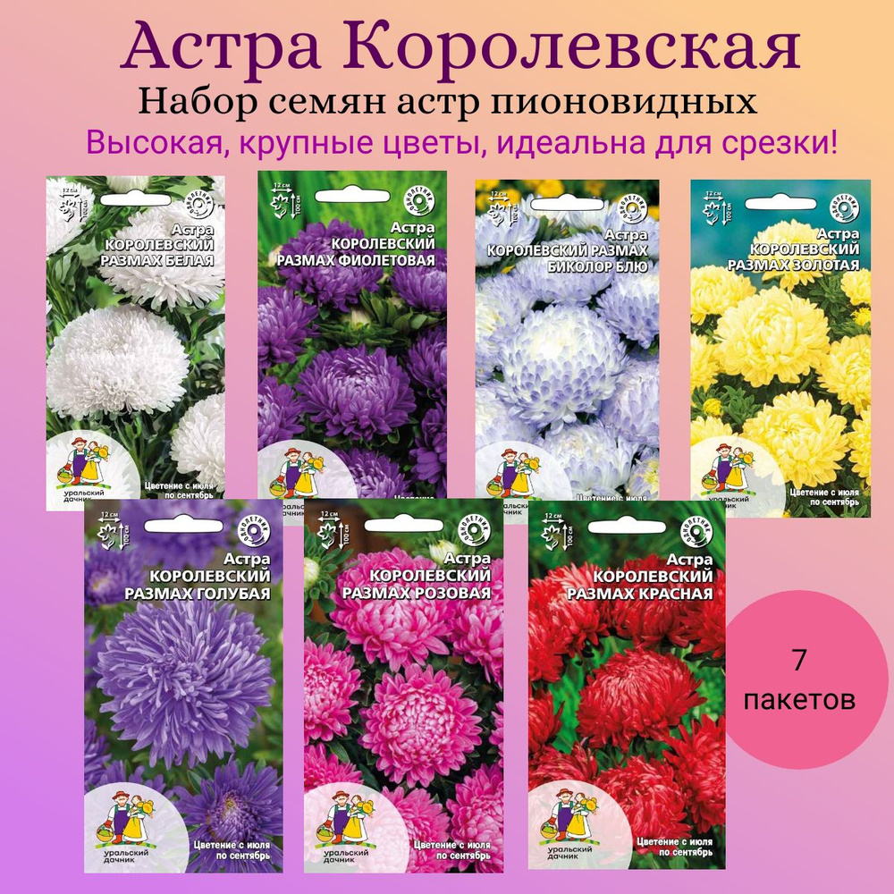 Набор семян цветов "Астра королевская", Уральский дачник, 7 пакетов  #1