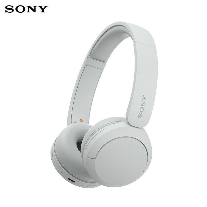 Sony Наушники с микрофоном Sony WH-CH520, белый #1