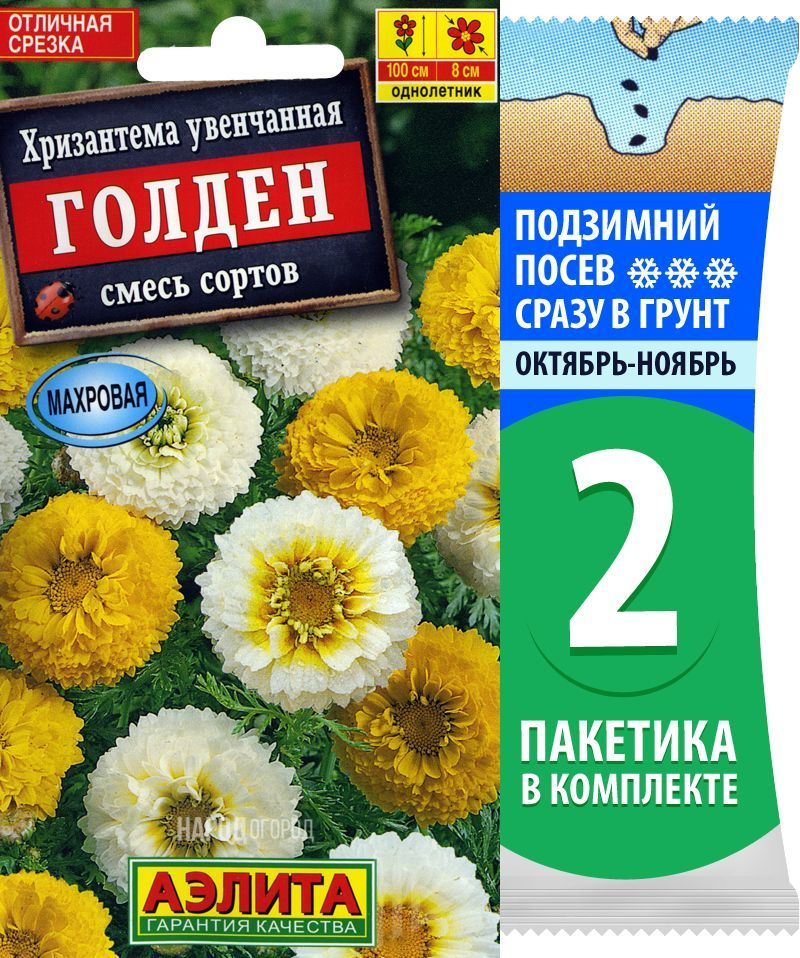 Семена Хризантема Голден смесь сортов, однолетние цветы для сада, 2 пакетика по 0,3г/150шт  #1