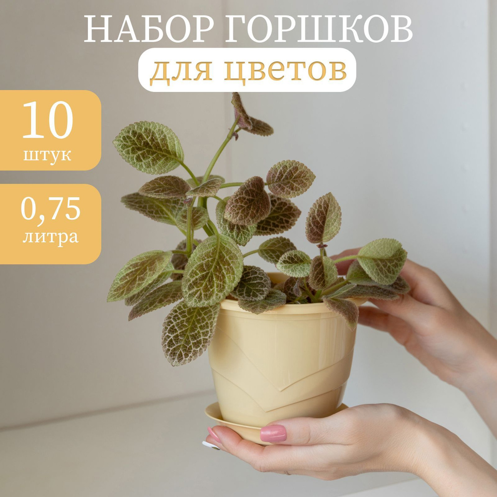 Горшки для фиалок маленькие, 10 штук по 0,75л, кремовый #1