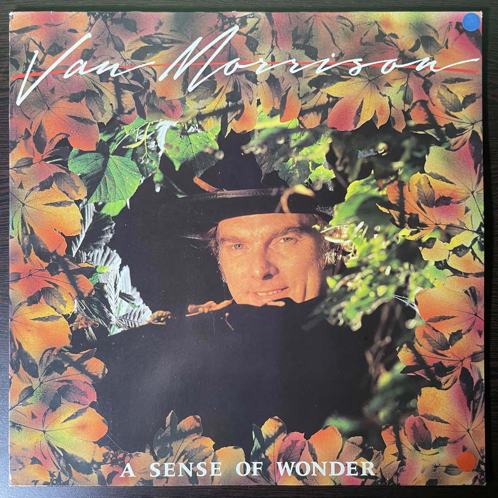 Виниловая пластинка Van Morrison - A Sense Of Wonder (Голландия 1984г.) #1