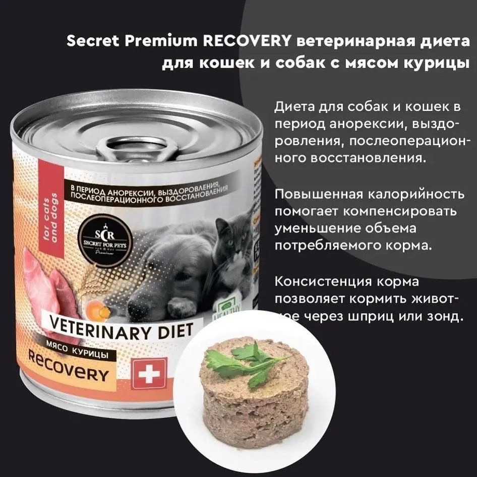 Secret Премиум Recovery 12шт по 340г корм для кошек, при востанновлении  #1