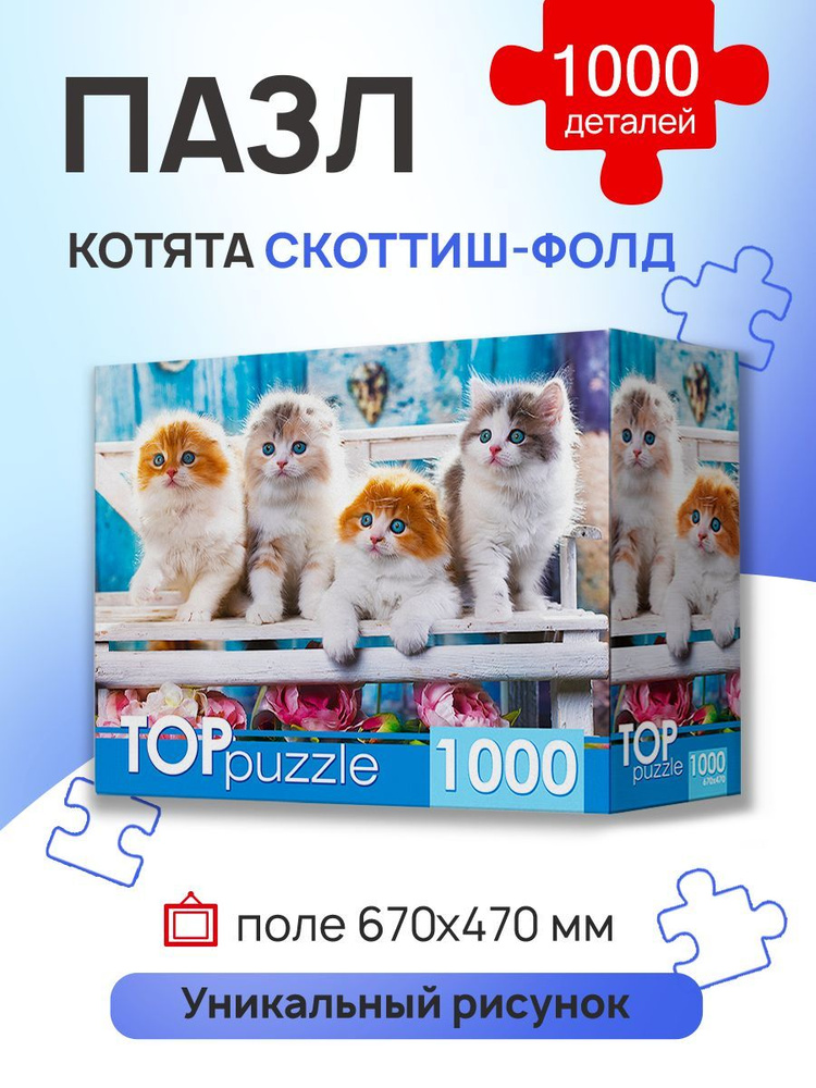 Пазл 1000 элементов TOPpuzzle "Котята скоттиш фолд" . Подарок другу, девушке, ребенку на новый год. ШТТП1000-4154 #1