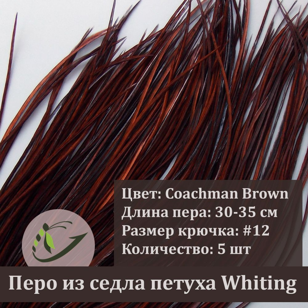 Перо петуха Whiting для вязания мушек, 5 шт, крючок #12, 30-35 см, цвет Coachman Brown  #1