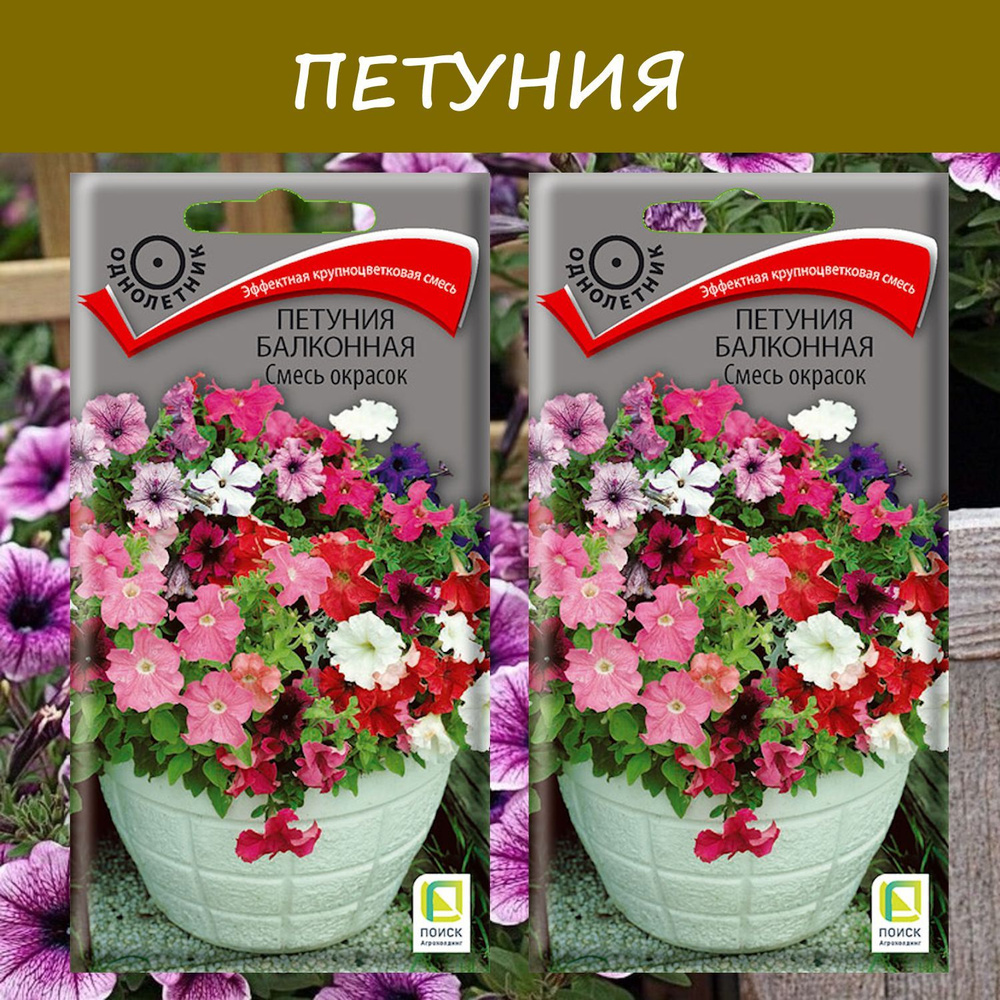 Петуния балконная Смесь окрасок, 2 упаковки, "Крупноцветковая смесь"  #1