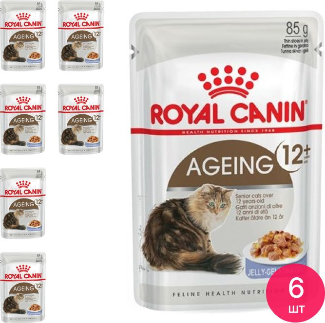 Корм для кошек влажный Royal Canin Ageing 12+ в желе для пожилых кошек 85г (комплект из 6 шт)  #1