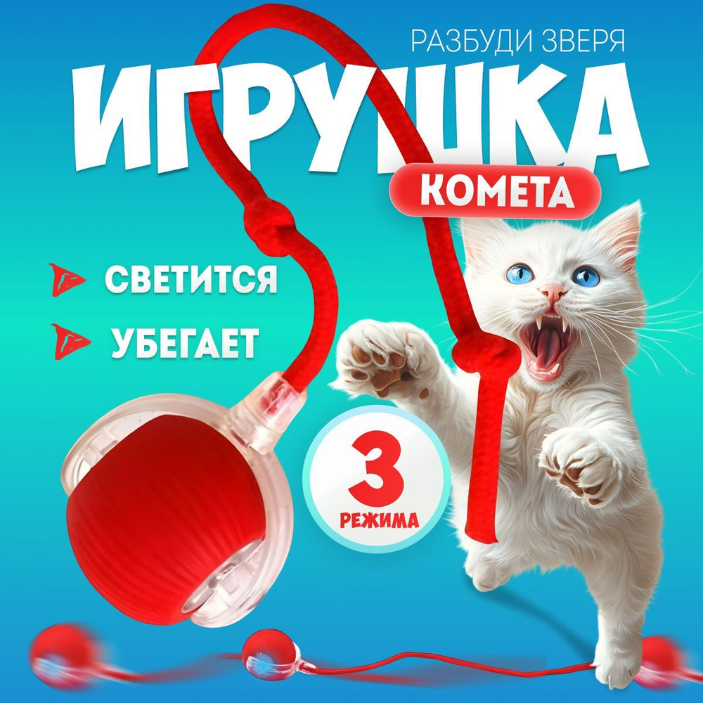 Игрушка для животных #1