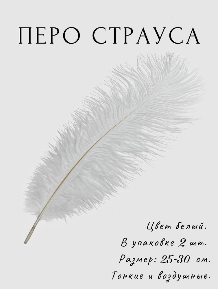 Перо страуса для декора и творчества. 25-30 см. 2 шт. Белый. #1