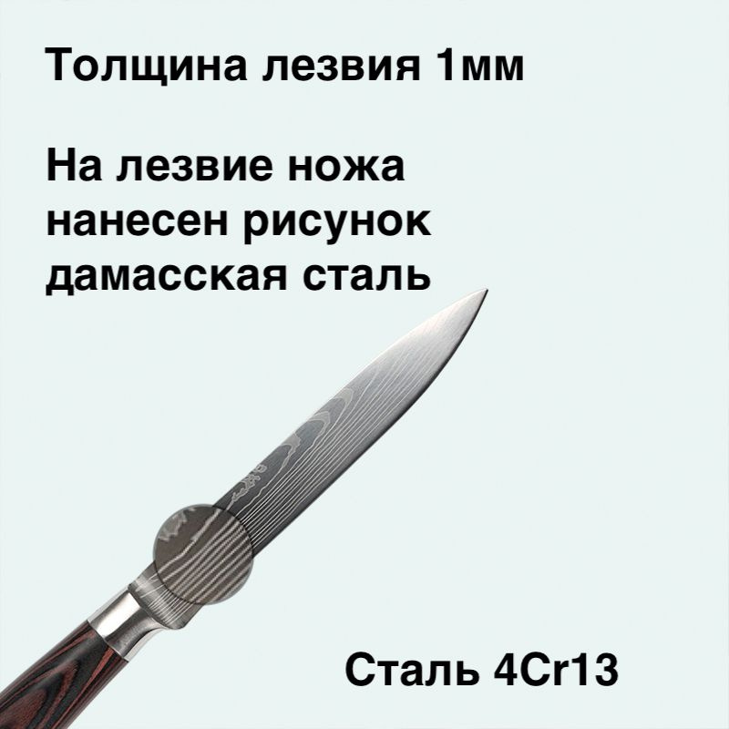 Лезвие этого ножа изготовлено из высокопрочной нержавеющей стали, что гарантирует его долговечность и устойчивость к коррозии, а твёрдость стали HRC 54+. Кроме того, этот нож легко затачивается и не требует частого обслуживания. Длина лезвия 13 см.