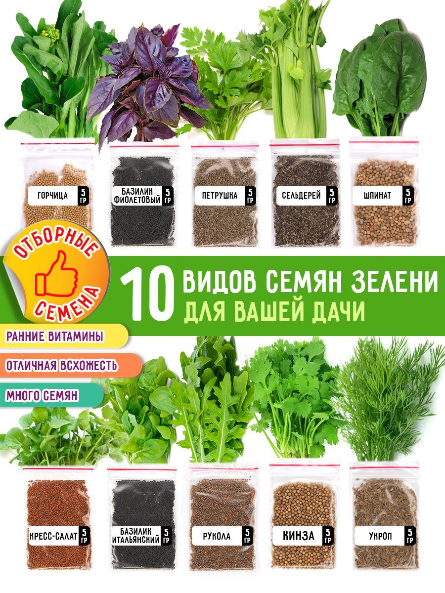 Набор"Зеленьсвежаяассорти"(10видов)дляогорода,балконаиподоконника