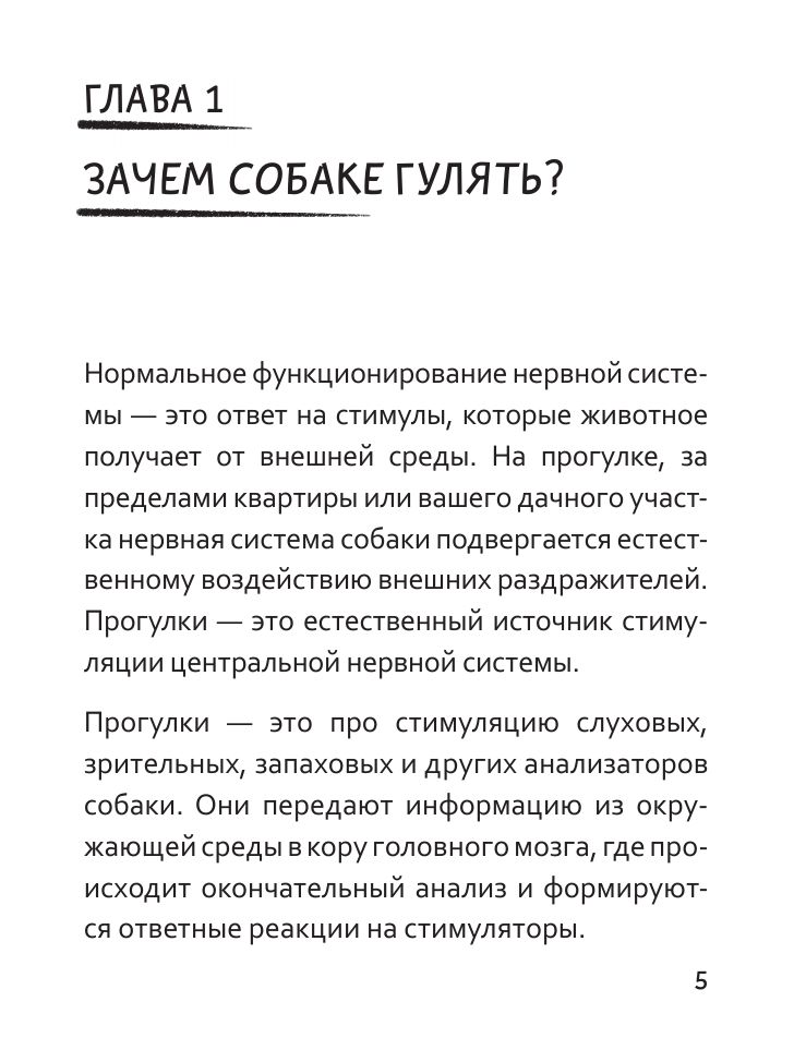 «Идем ГУЛаЯТЬ. Нескучные прогулки для питомцев и их хозяев» — фото 6