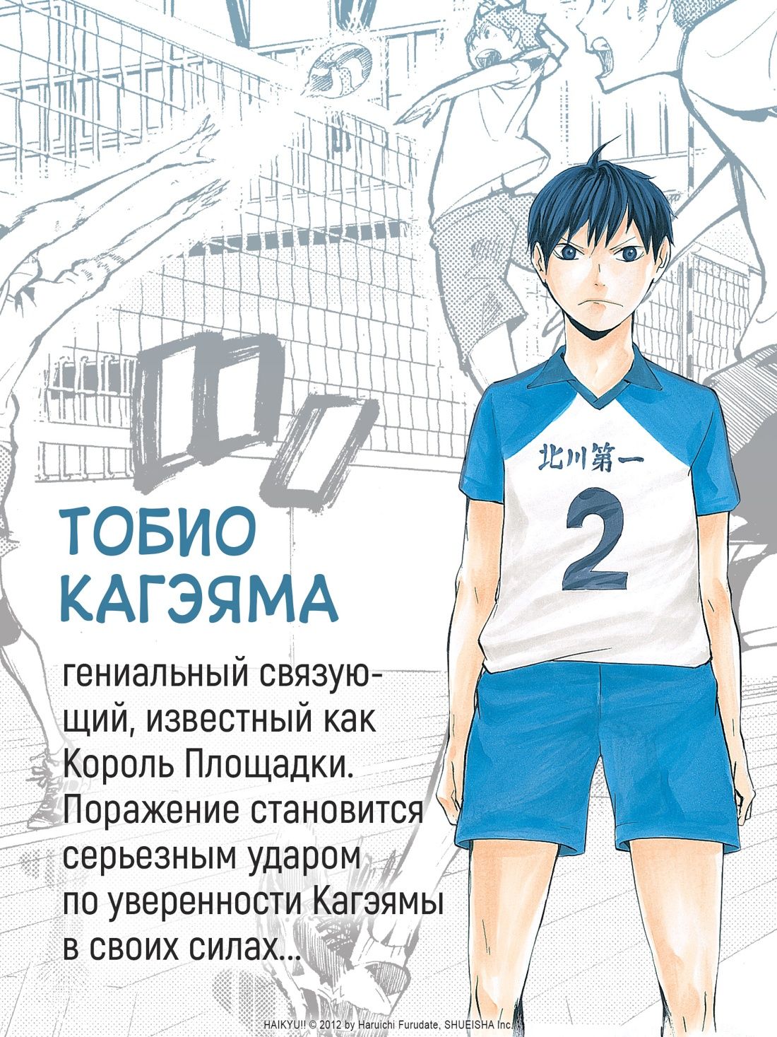 Волейбол! Книга 1. Хината и Кагэяма. Вид с высоты | Haikyu!!, Vol. 1: Hinata and Kageyama - Ozon image 4