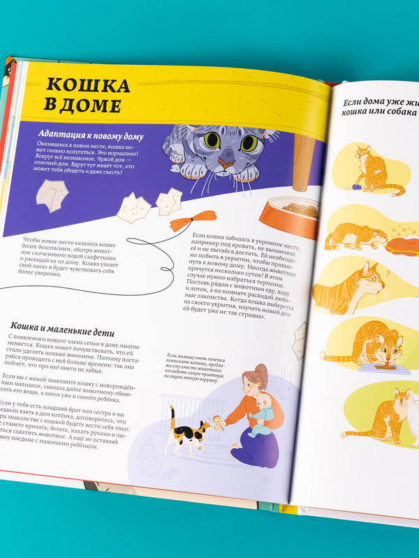 Секреты кошек / Энциклопедия про животных для детей / Домашние животные | Cat Secrets: An Encyclopedia of Animals for Kids: Pets - Ozon image 6