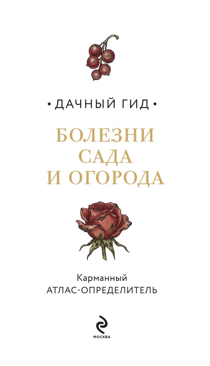 Болезни сада и огорода. Карманный атлас-определитель | Garden and Vegetable Patch Diseases: Pocket Identification Atlas - Ozon image 2