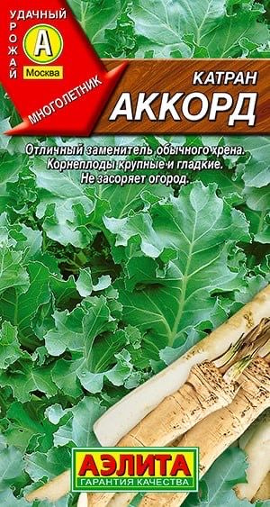 КАТРАН (ХРЕН) АККОРД. Семена. Вес 0,3 гр. Многолетнее растение, известное также как южный (степной, татарский) #1