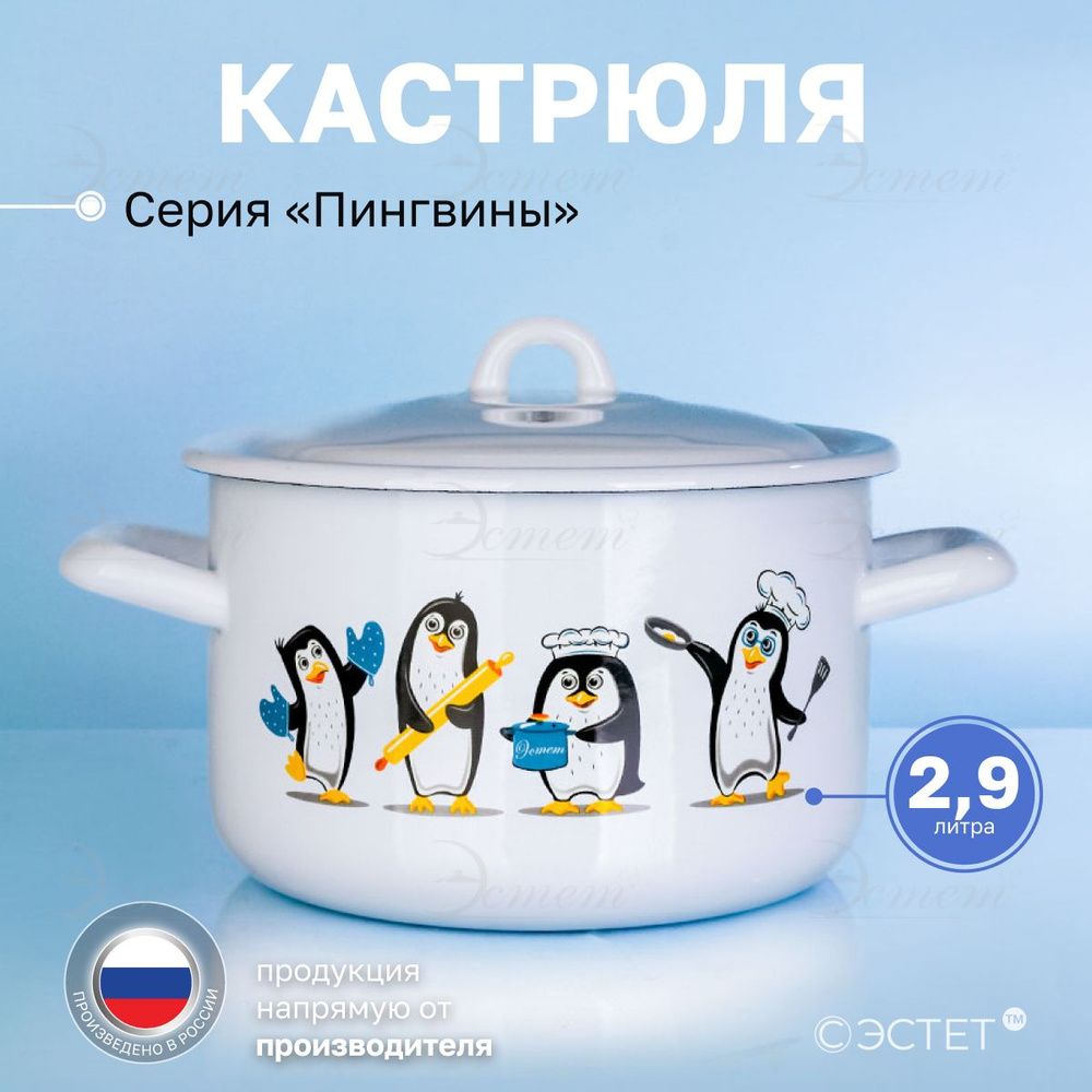 Кастрюля с крышкой 2.9 л "Эстет" эмалированная / кастрюля для индукционных плит  #1