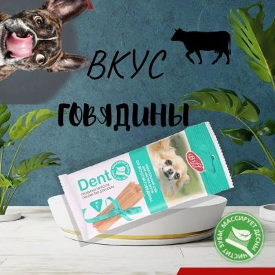 Снек для чистки зубов со вкусом говядины Biff Dent, для собак мелких пород, 35г  #1