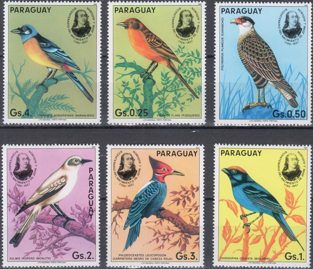 Набор 6 марок Парагвай Птицы #1