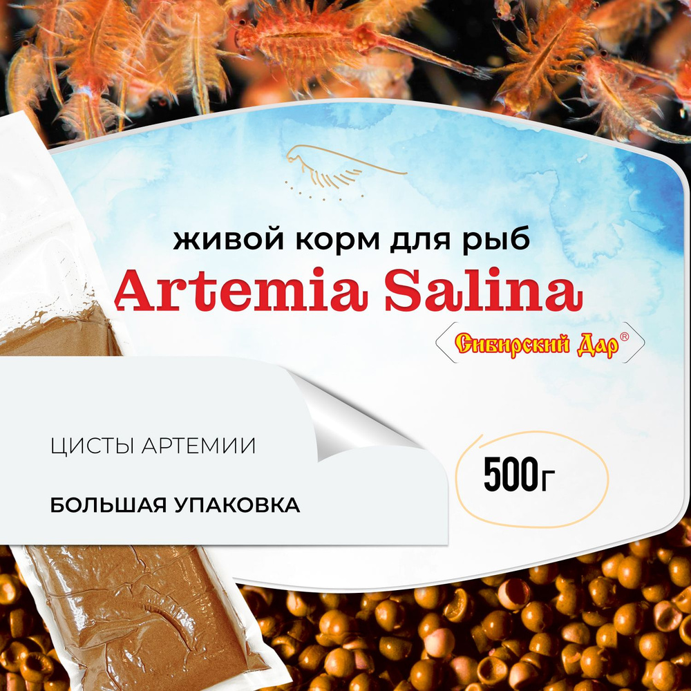 Живой корм для рыб "Сибирский дар" - Artemia Salina, 500 г (650 мл) - яйца артемии (цисты) для мальков, #1