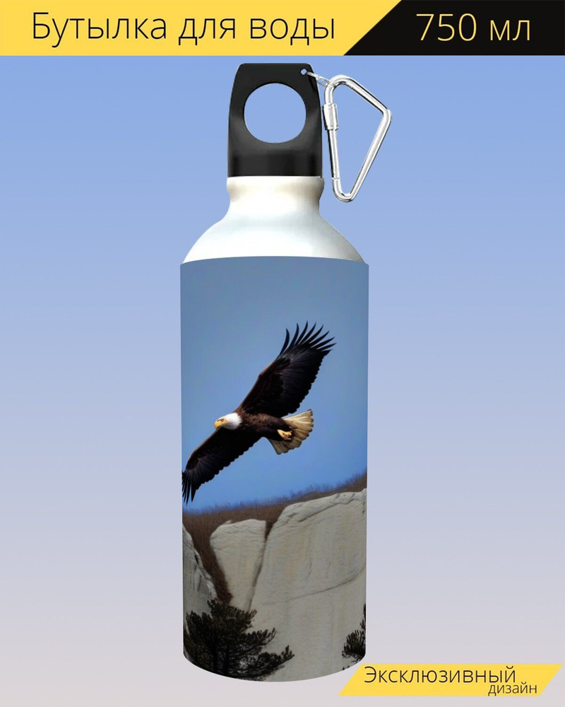бутылка для воды любителям природы "Птицы, орел, над скалами" для походов и отдыха, 750мл.  #1