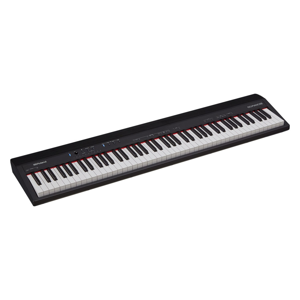 ROLAND GO-88P - цифровое компактное пианино, 88 кл., 4 тембра, 128 полифония  #1