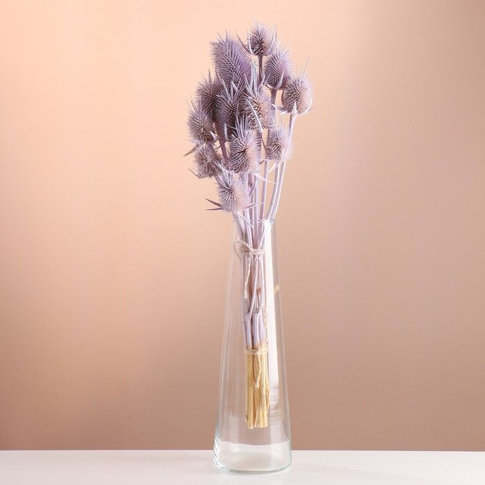 Сухоцветы для декора "Ворсянка" банч 7-8 шт, длина 50 (+/- 6 см) сиреневый  #1