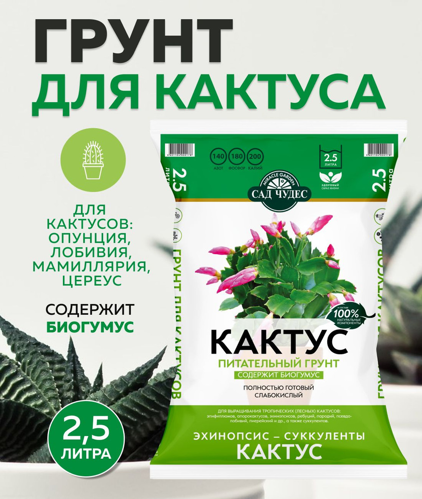 Грунт питательный Сад Чудес Кактус 2.5 л #1