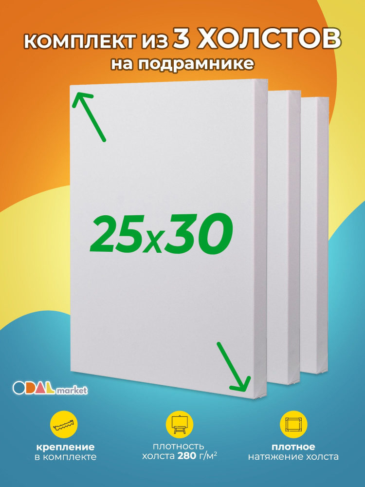 Холст грунтованный для рисования на подрамнике 25х30 см, 3шт  #1